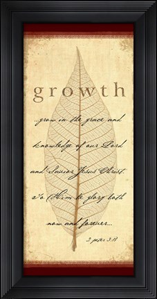 Framed 2 Peter 3v18 Print