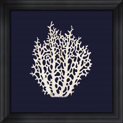 Framed Contemporary Coastal Coral Print
