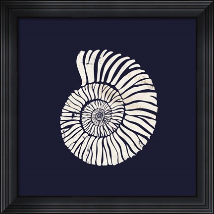 Framed Contemporary Coastal Shell II Print