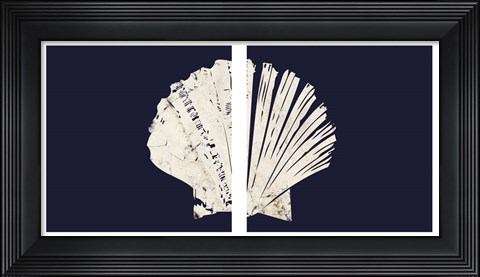Framed Contemporary Coastal Shell Set Print