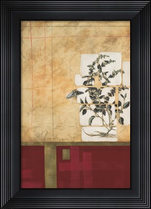 Framed Spice Of Life II Print