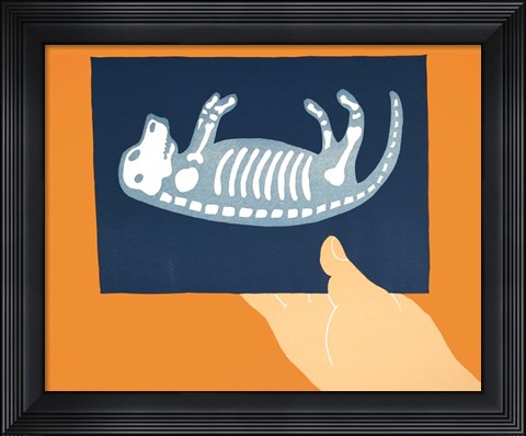 Framed X-ray Print