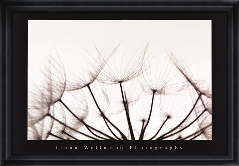 Framed Whispers - Sepia Print