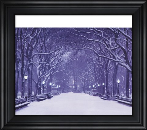 Framed Winter In Central Park Print
