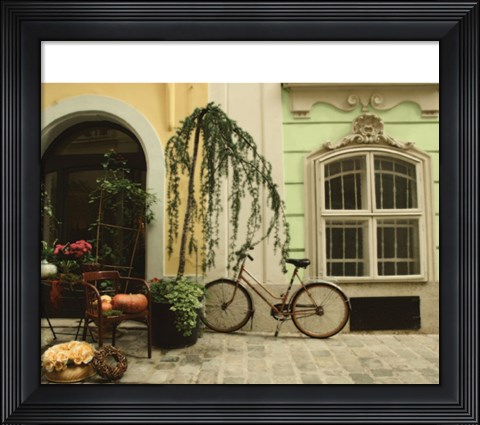 Framed Vienna Ride Print