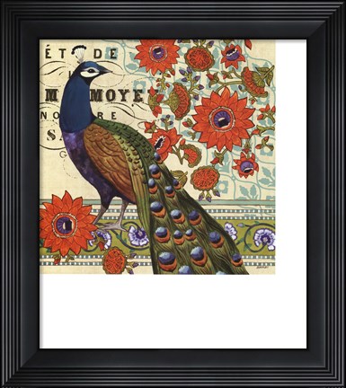 Framed Vintage Peacock II Print