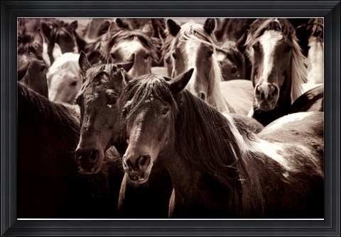 Framed Standing Room Only Print