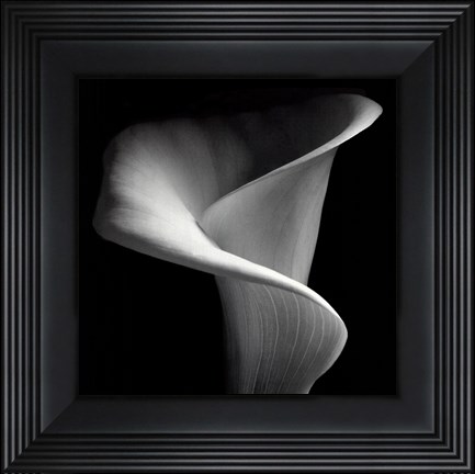 Framed Calla Lily Print