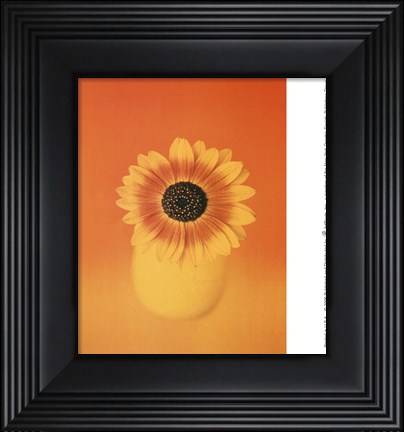 Framed Single Sunflower Print