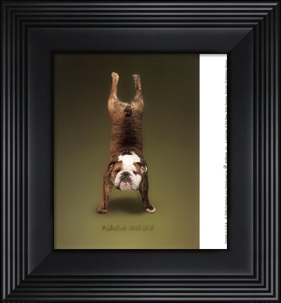 Framed Yoga Sammy Print