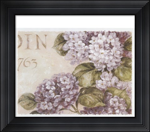 Framed Antiqued Hydrangeas II Print