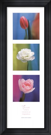 Framed Floral Canvas Print