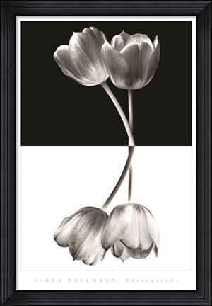 Framed Black And White Print