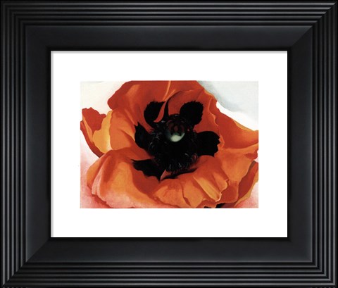 Framed Poppy Print