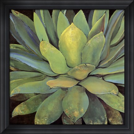 Framed Agave Print