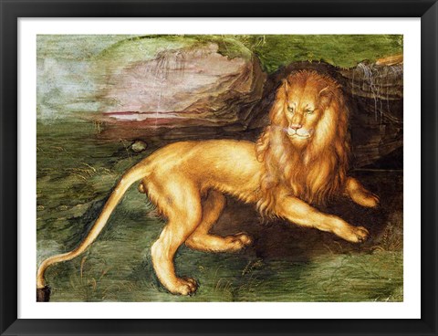 Framed Lion Print