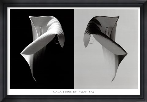 Framed Cala Twins Print