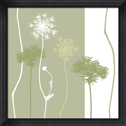 Framed Queen Anne&#39;s Lace Print