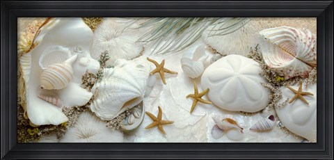 Framed Island Tide Pool No. 5 Print