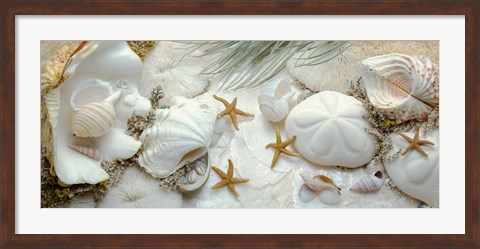 Framed Island Tide Pool No. 5 Print