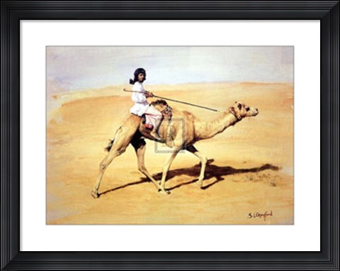 Framed Bedouin Rider with Racing Camel (Le) Print