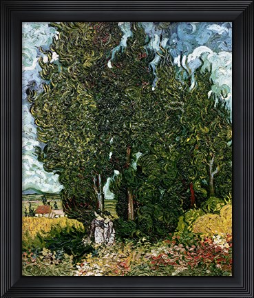 Framed Cypresses Print