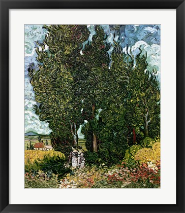 Framed Cypresses Print