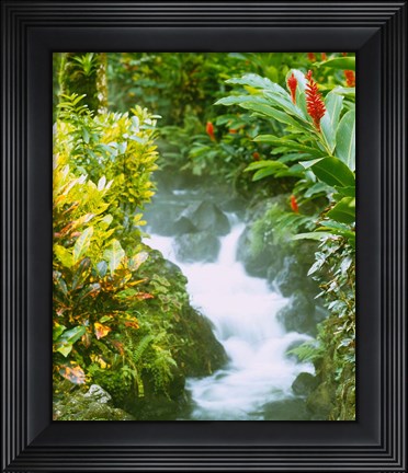 Framed Waterfall, Tabacon, Costa Rica Print