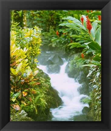 Framed Waterfall, Tabacon, Costa Rica Print