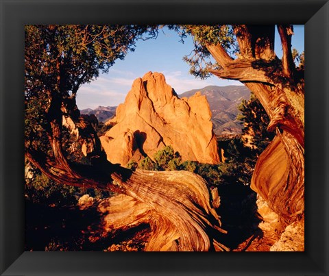 Framed Garden of the Gods, CO Print