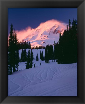 Framed Mt Rainier National Park, Washington State Print