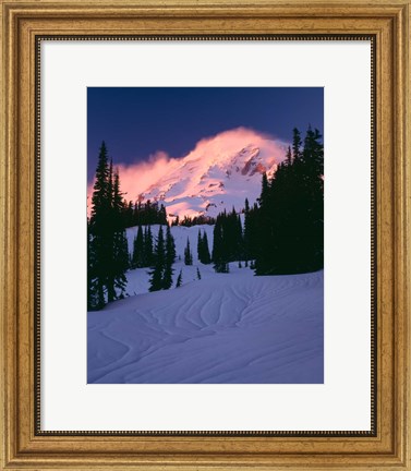 Framed Mt Rainier National Park, Washington State Print