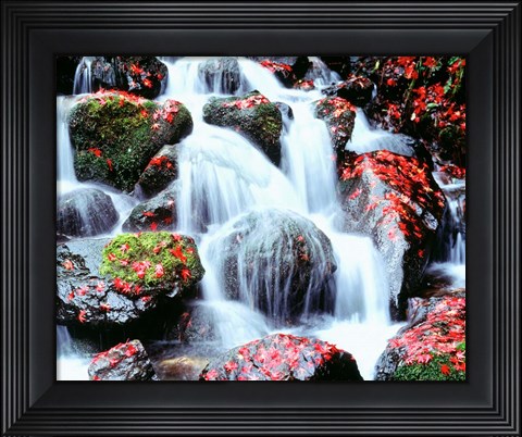 Framed Waterfalls, Kyoto, Japan Print