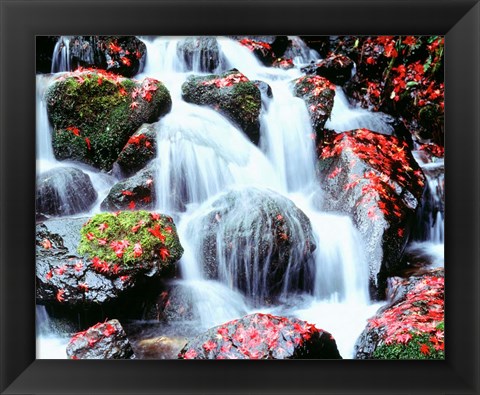 Framed Waterfalls, Kyoto, Japan Print