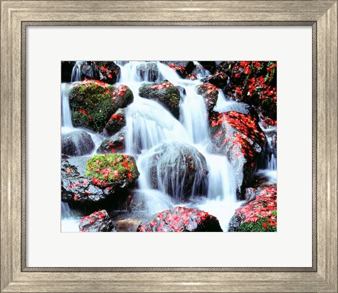 Framed Waterfalls, Kyoto, Japan Print