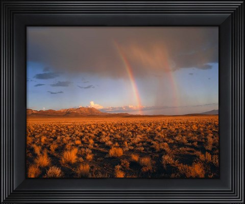 Framed Nevada Desert Rainbow Print