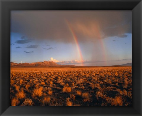 Framed Nevada Desert Rainbow Print