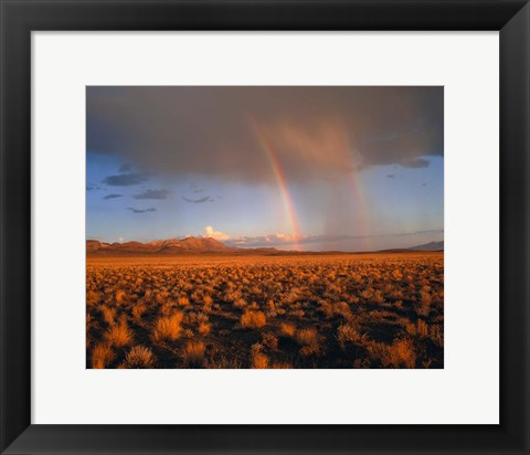 Framed Nevada Desert Rainbow Print