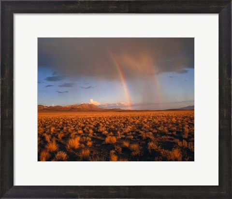 Framed Nevada Desert Rainbow Print