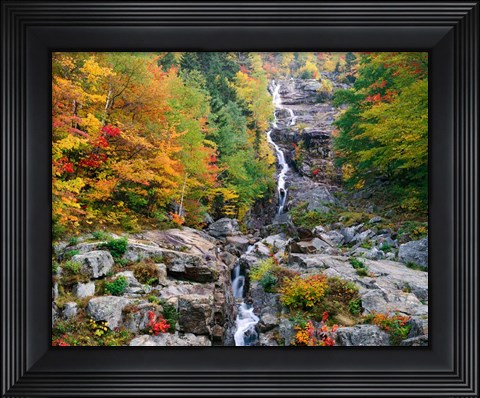 Framed White Mountains National Forest Print