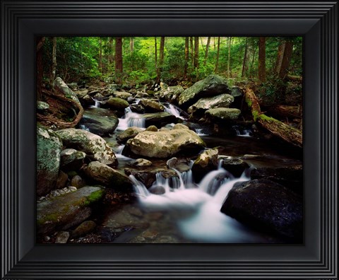 Framed LeConte Creek, Great Smoky Mountains National Park Print