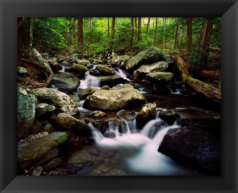 Framed LeConte Creek, Great Smoky Mountains National Park Print