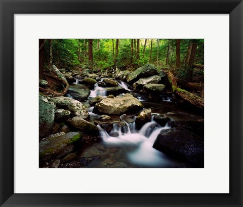 Framed LeConte Creek, Great Smoky Mountains National Park Print