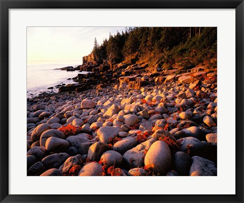 Framed Maine, Acadia National Park Print