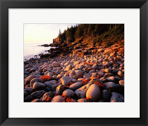 Framed Maine, Acadia National Park Print