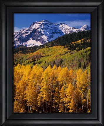 Framed Uncompahgre National Forest, CO Print