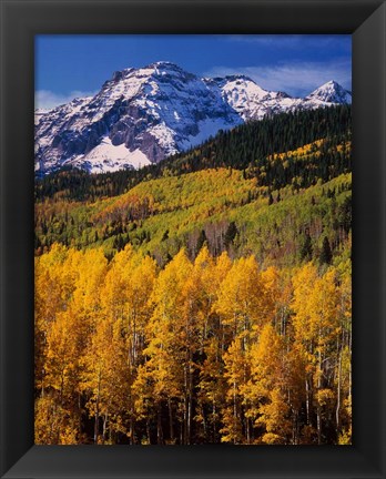 Framed Uncompahgre National Forest, CO Print