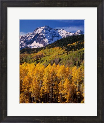 Framed Uncompahgre National Forest, CO Print