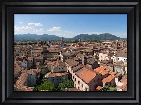 Framed Torre Guinigi, Lucca, Tuscany, Italy Print