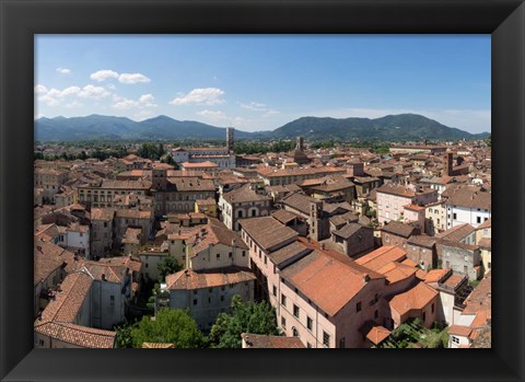 Framed Torre Guinigi, Lucca, Tuscany, Italy Print